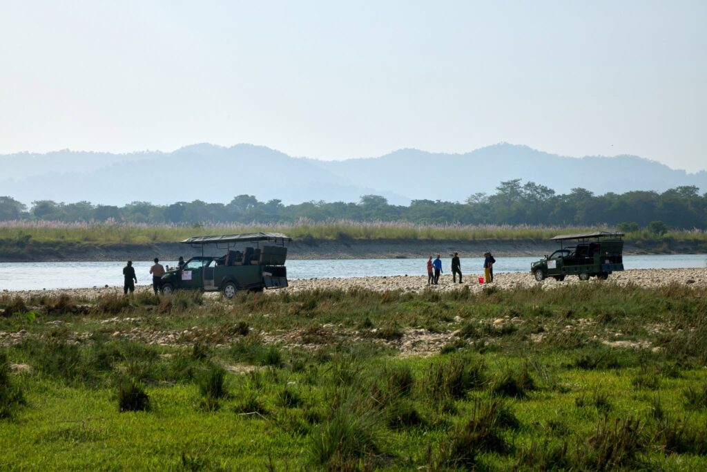 chitwan-national-park-jungle-safari